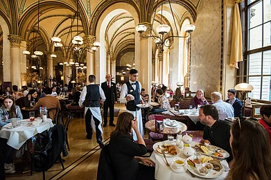 Vienna A Cafe Trail In The Worlds Most Liveable City