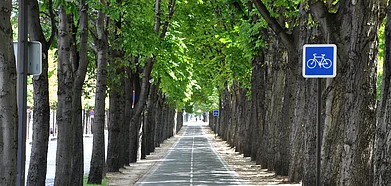 A cycling path