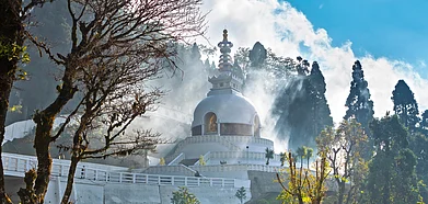 While Darjeeling is known for the tea industry, its Peace Pagoda is also a place of beauty