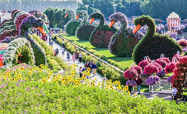 A duck and flower landscape at Miracle Garden in Dubai Abrar Sharif / Shutterstock - null