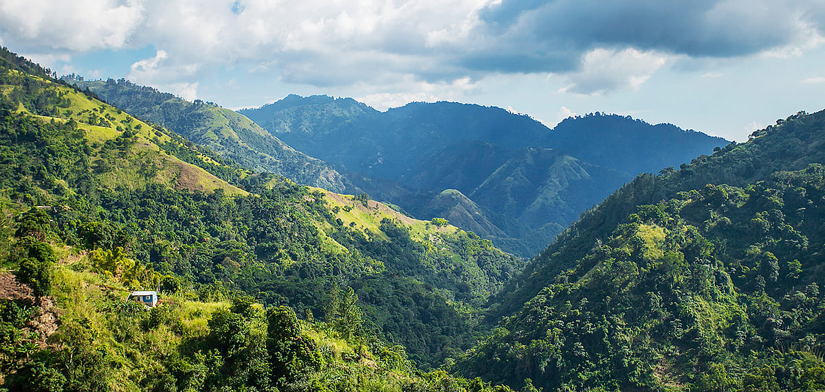The blue mountains of Jamaica