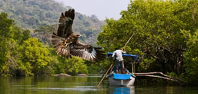 Goas backwaters are great for gentle kayak rides and birdwatching