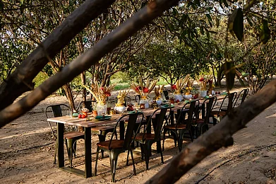 Dining area in the guava orchard at Mharokhet