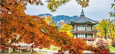 Gyeongbokgung Palace in autumn