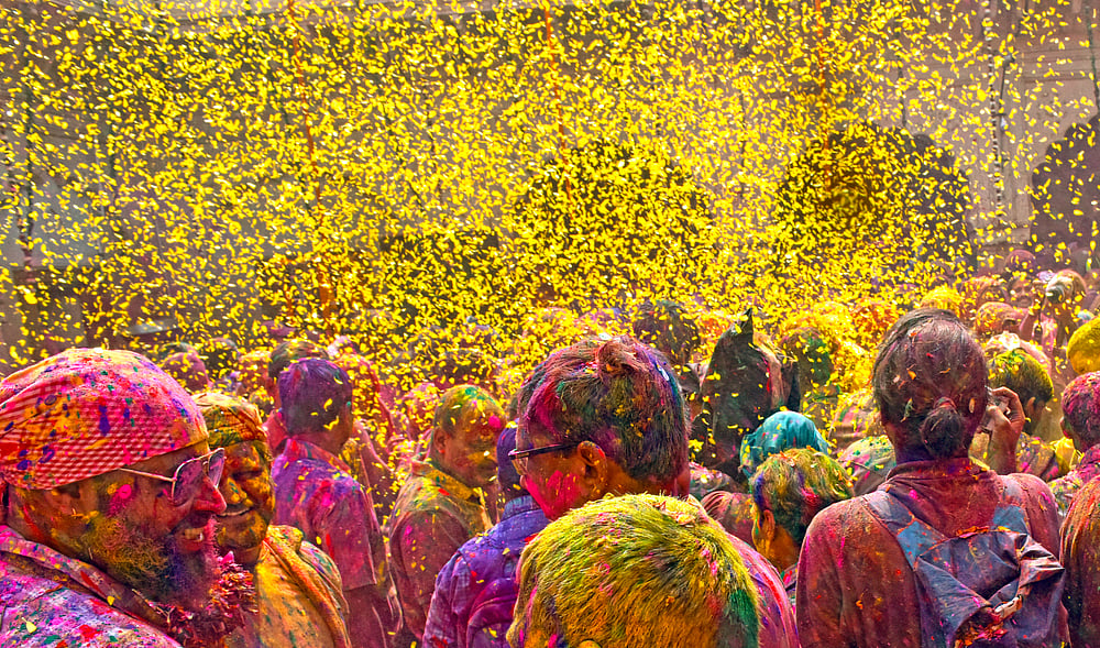 Phuloon Ki Holi is a spectacular one-day event    Photo credit Naresh Sharma / Shutterstock