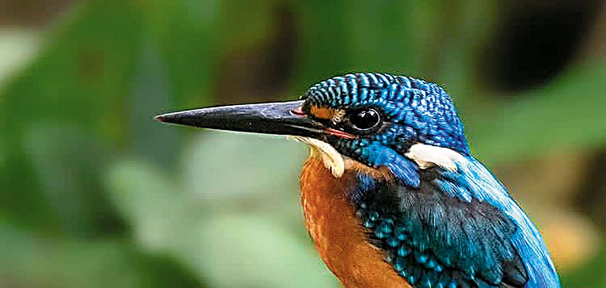 Beautiful words dominate the Andaman landscape