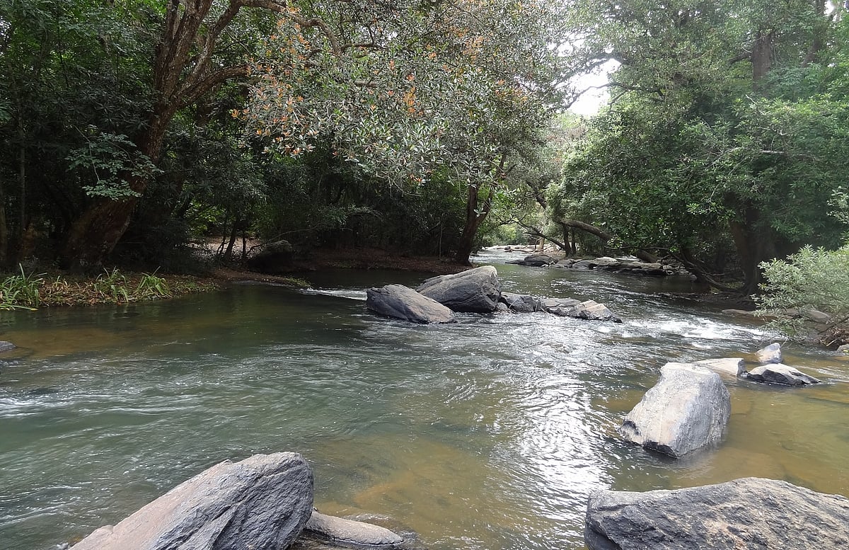 The Kaveri flowing through Nisargadhama in Karnataka