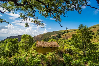 Take A Break In The Peaceful Hills Of Kemmannagundi