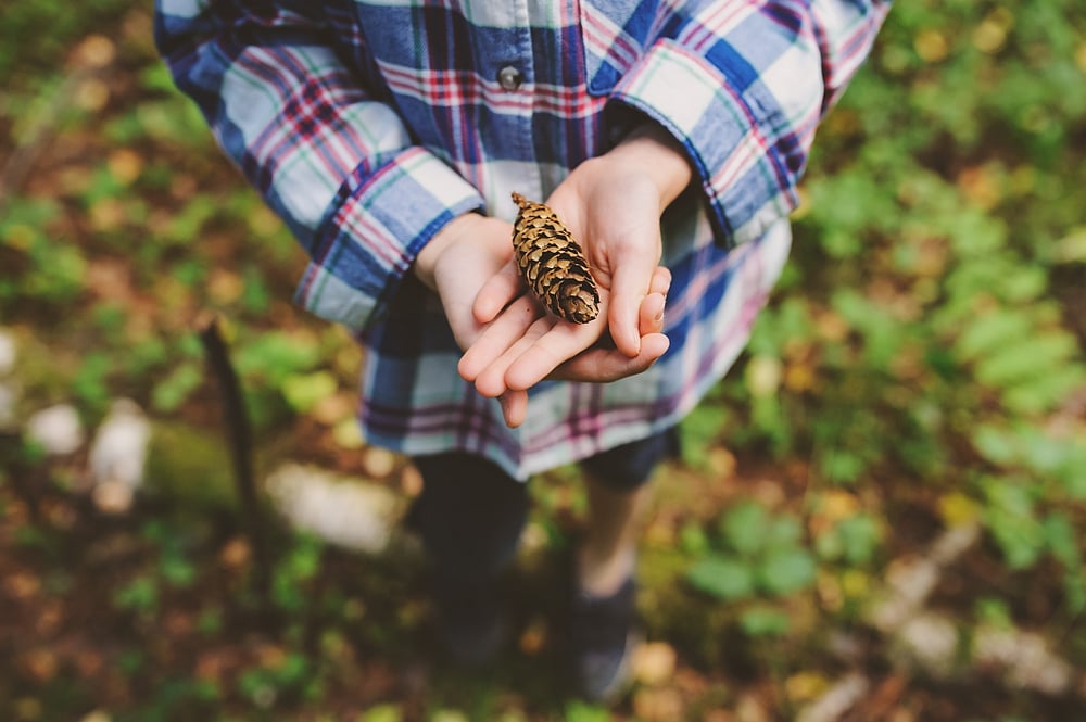 5 Amazing Holiday Experiences With Your Kids This Summer