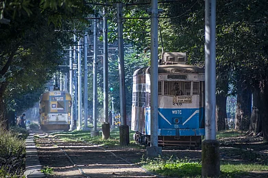 Shutterstock : A tram on the Maidan stretch in Kolkata