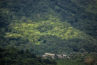 Sunlight falls on the thick forests in Kotagiri in Tamil Nadu