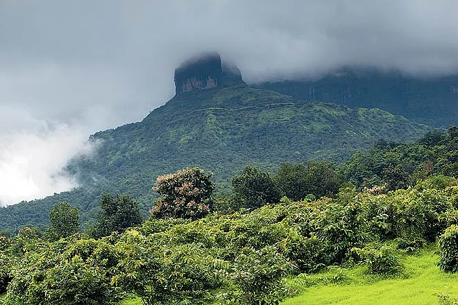 The clouds come down on Malshej Ghat