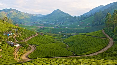 Meghamalai