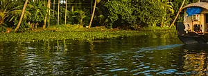 On the waterfront - Kerala