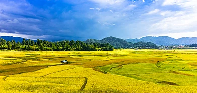 Beautiful landscape of Ziro in Arunachal Pradesh