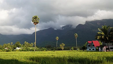 Spend your holiday in the midst of paddy fields, forests, and dark blue mountains in Palakkad, Kerala