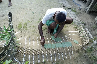 Surajit Sharma : Preparing for Bathou puja at home