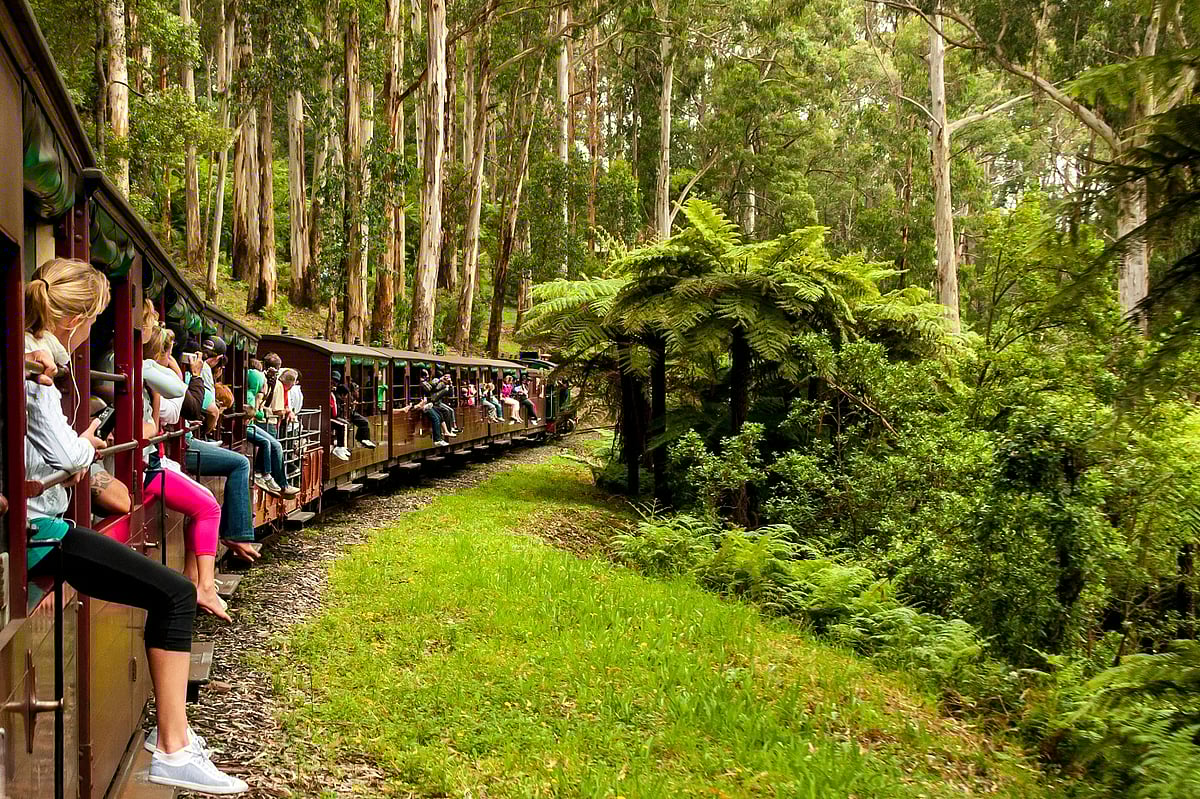 Passengers with their feet outside the carriages of a Puffing Billy train