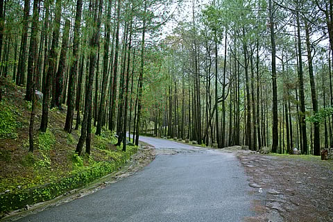 Slow down in the lap of nature in Lansdowne