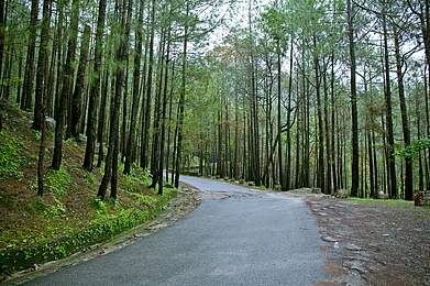 Slow down in the lap of nature