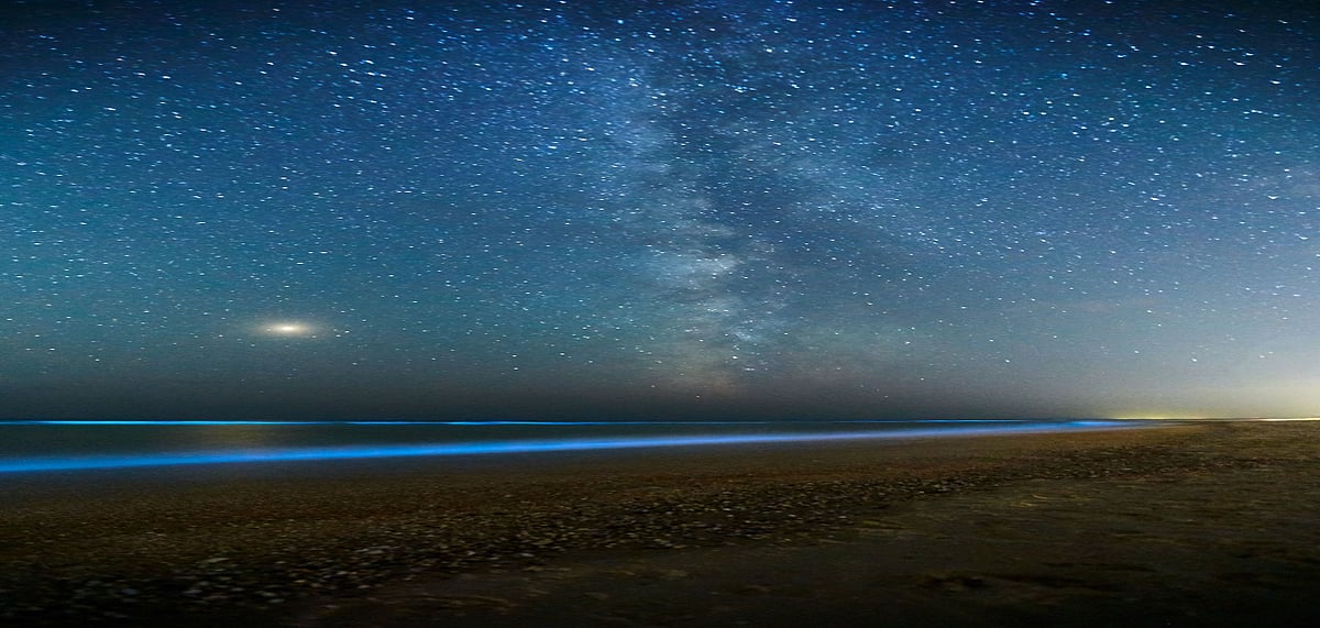 Beaches In India That Glow In The Dark