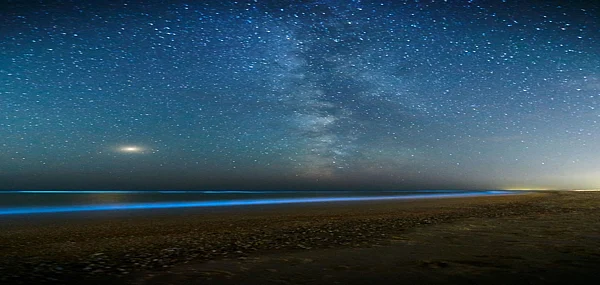 Beaches In India That Glow In The Dark