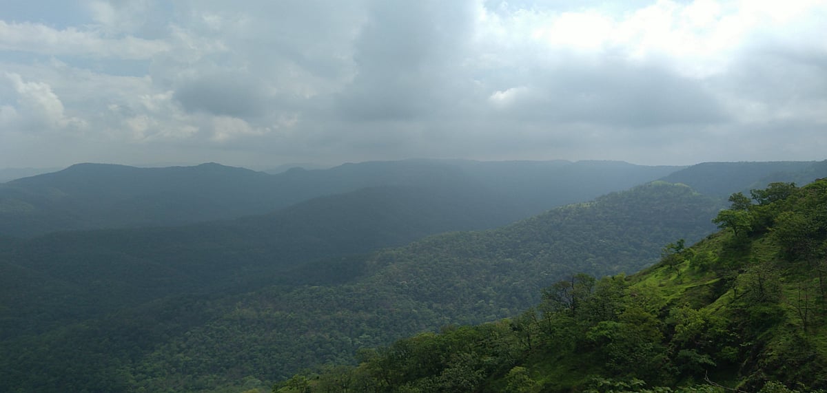 The misty hills of Chikhaldara