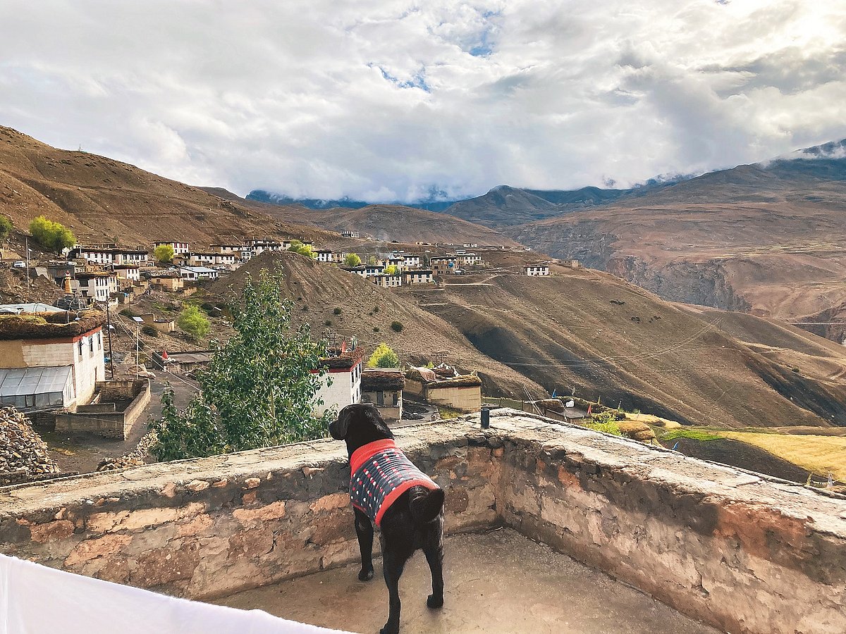 Rio Singh gazes at the beautiful mountains
