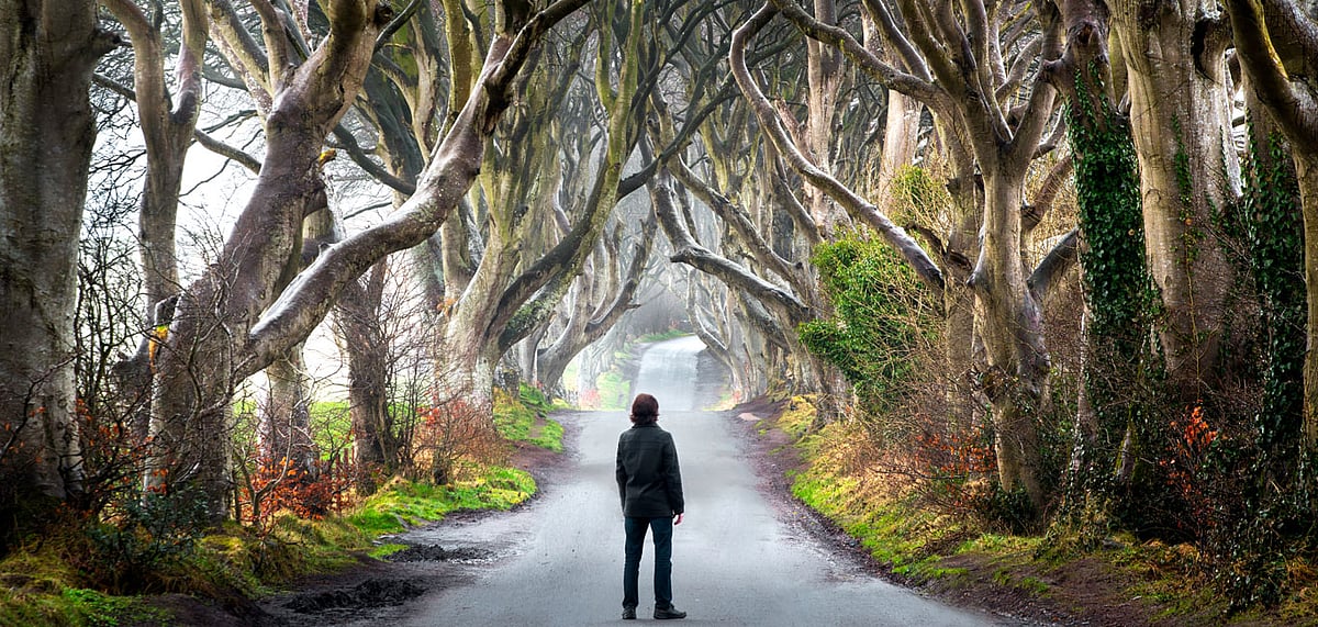 The Dark Hedges in Northern Ireland was the location of Kings Road in GoT