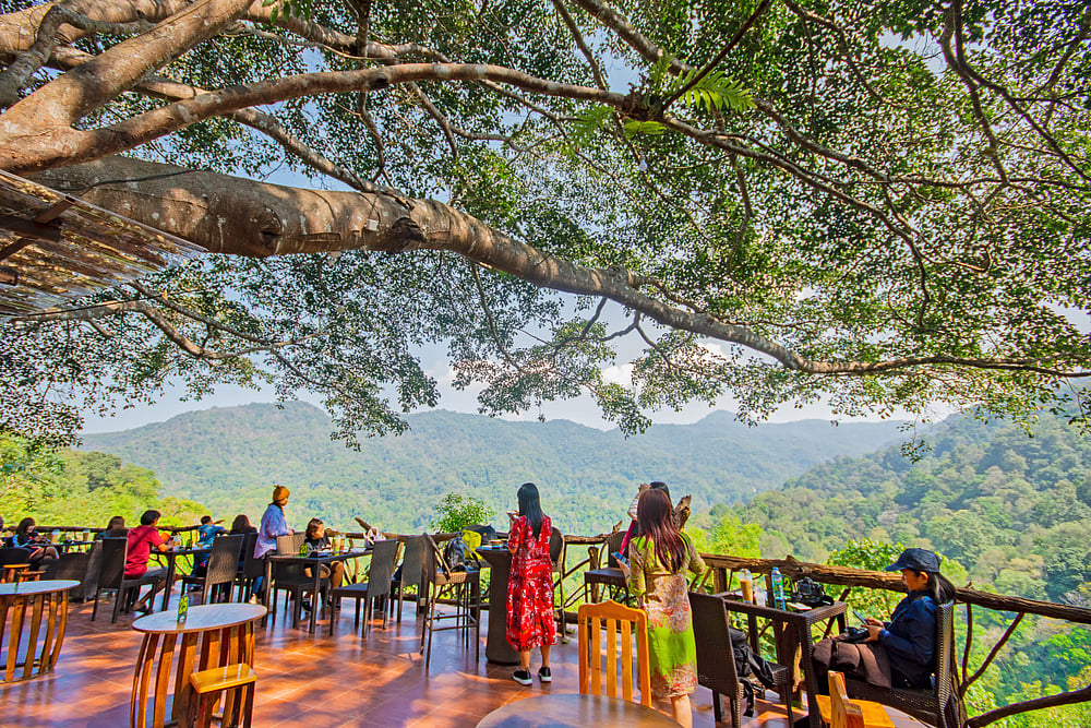 The Giant Coffee Shop on a tree in Mae Kampong homestay village, Chiang Mai, Thailand          Photo credit ploypemuk /Shutterstock