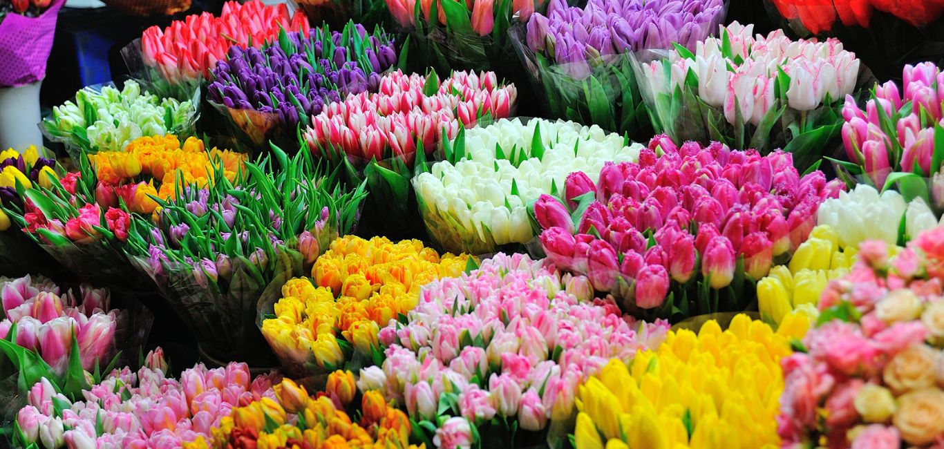 6 Of The Biggest Flower Markets In The World - null