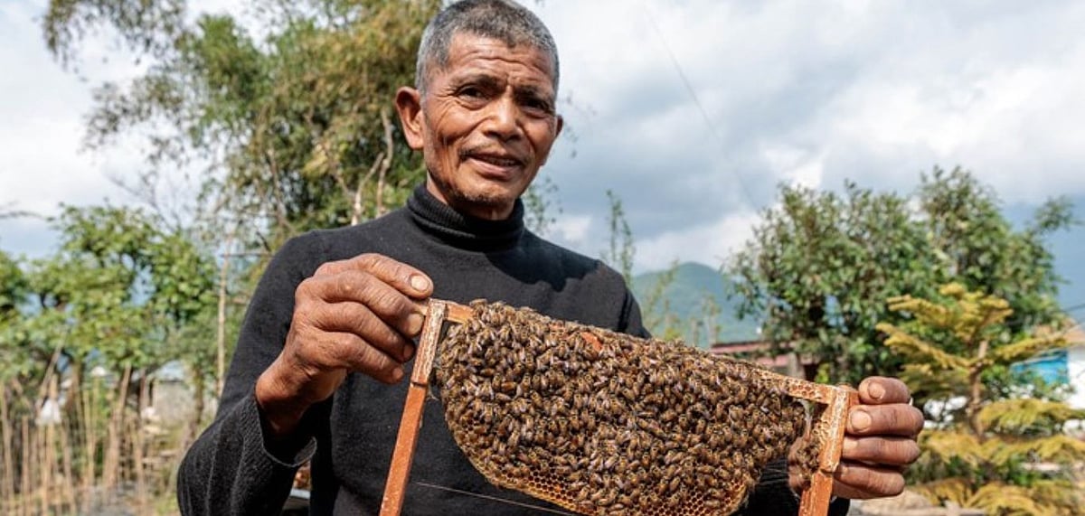 With a lot of locals letting their homes to guests for an authentic Nepali experience, to cooking meals for them with fresh, home-grown produce, and even bee-keepers selling organic honey. Picture credit .caritas.org