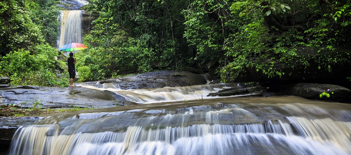Agumbe is also known as the Cherrapunji of the South.