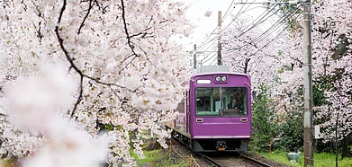 Shutterstock : From rolling countryside to coastal vistas, Japans scenic train journeys are experiences that you cant miss.