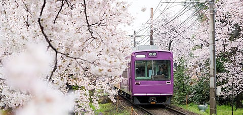 From rolling countryside to coastal vistas, Japan's scenic train journeys are experiences that you can't miss.
