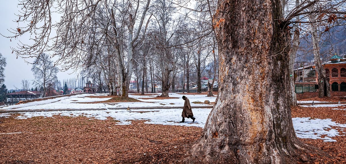 Mughal Gardens are some of the star attractions of the region