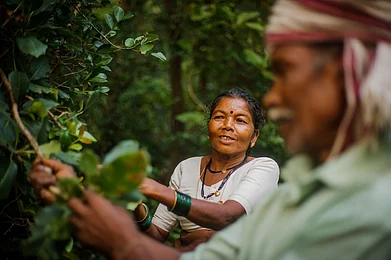 Deposit Photos : A Van Vadi workshop on local foods led by villagers in Maharashtra