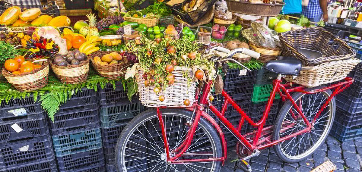 Learning Holidays Detox and Know How to Grow Your Own Food at These Places