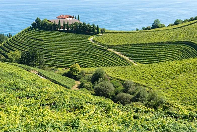 France, Italy, Spain, Georgia and South Africa are lauded as the worlds best wine-producing countries