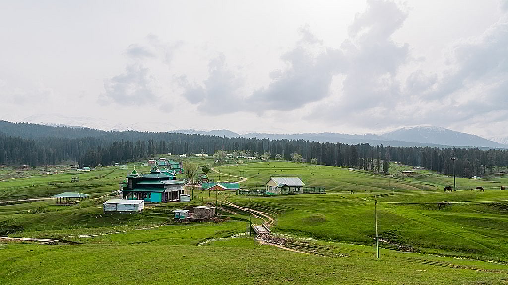 Yusmarg in the western part of Kashmir Valley Photo credit Suhail Skindar Sofi / Wikimedia Commons