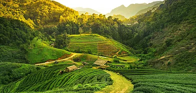 Representative image. Credit Shutterstock