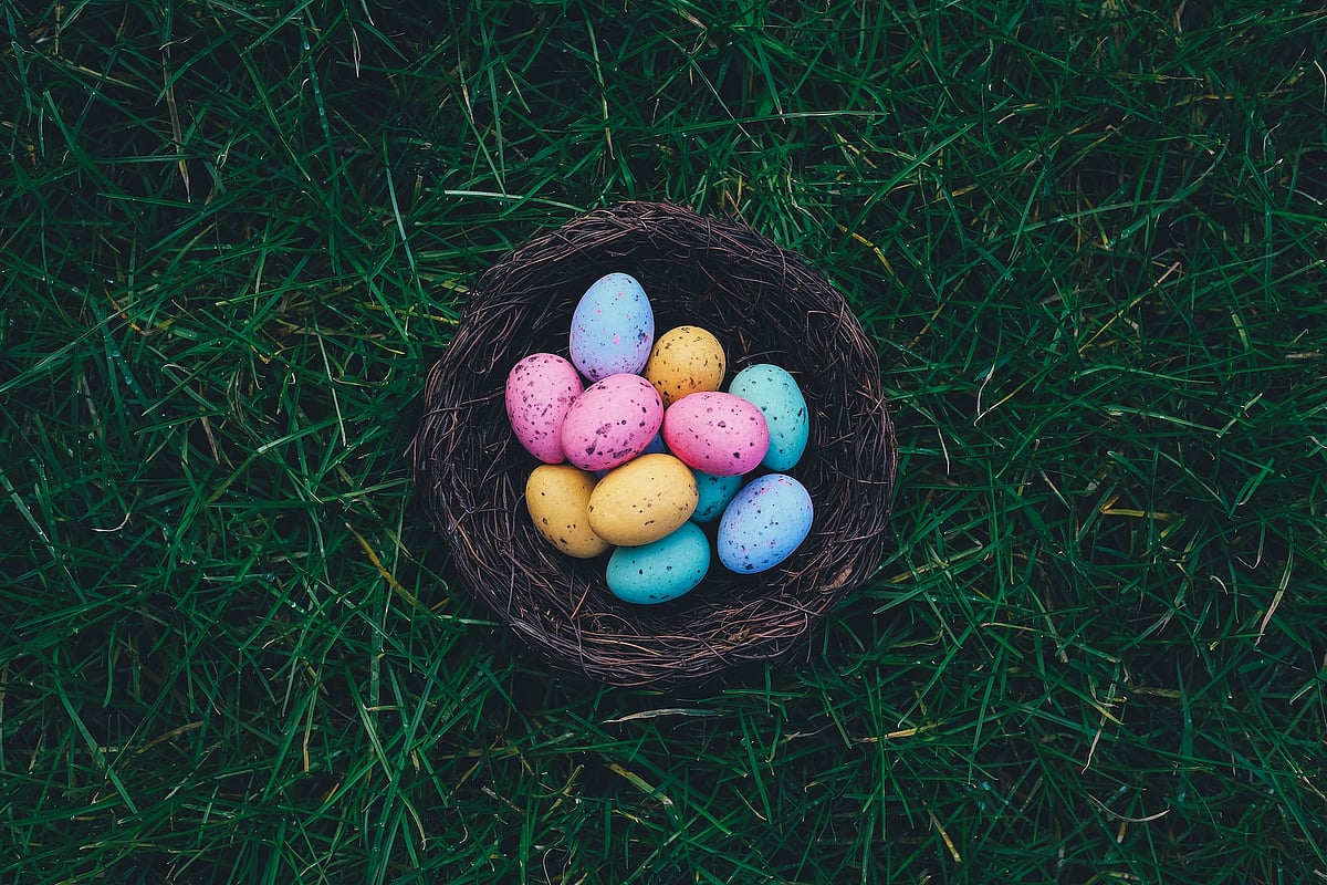 Easter eggs. Credits Annie Spratt, Unsplash