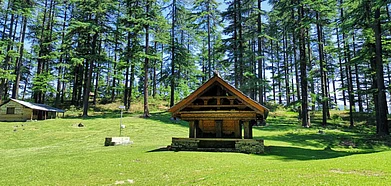 Shutterstock : Balo Nag Temple in Bahu village, Himachal Pradesh