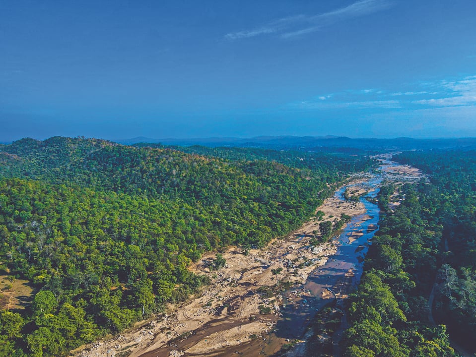 Palamu boasts rich biodiversity and dense foliage