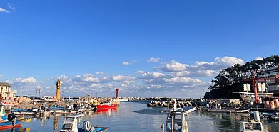 Unsplash : Busan Things To Do In South Koreas Port City