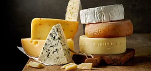Europe is a cheese lovers paradise. Credit Shutterstock
