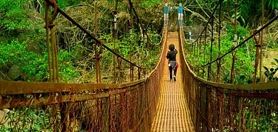 The Hills Festival Meghalaya will be held on November 4 and 5 this year. Credit Shutterstock