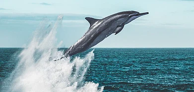 Representative image. Credit Unsplash