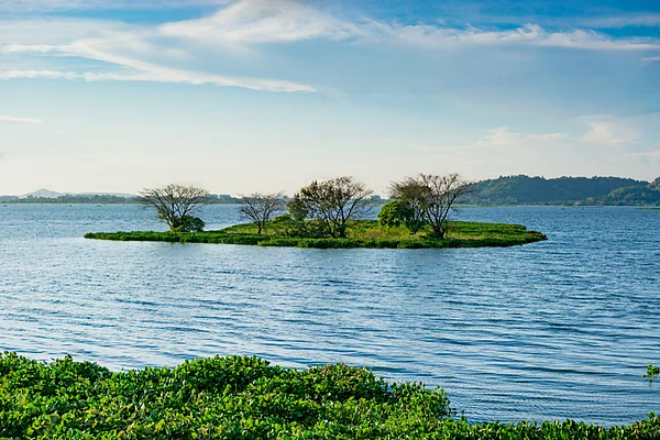 Shutterstock/cyberswarup : The Deepor Beel in Assam is the states only Ramsar Site