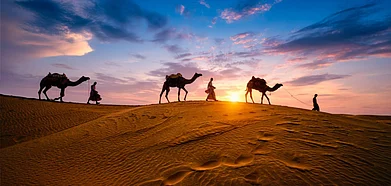 Shutterstock : Representative image